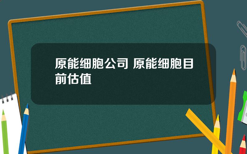 原能细胞公司 原能细胞目前估值